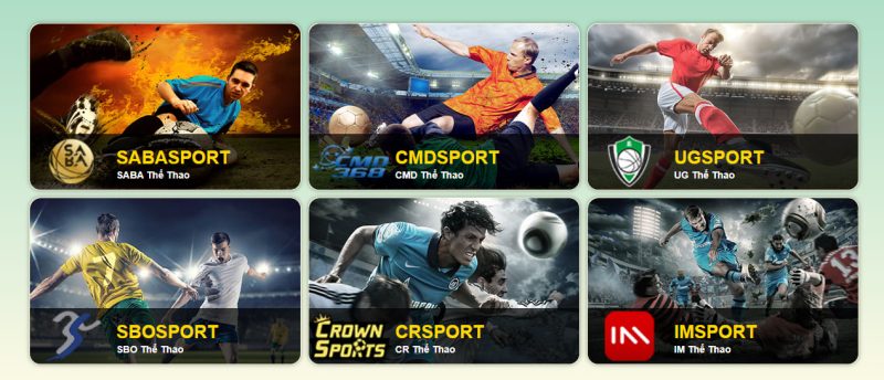 Các Loại Cược Thể Thao Phổ Biến Tại 58win