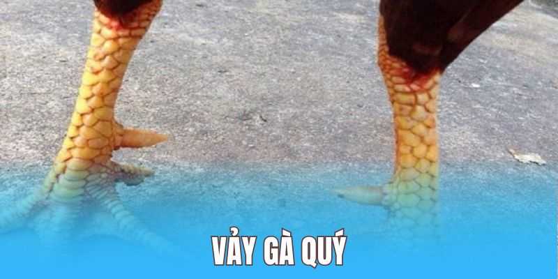Vảy Gà Chọi Độc 58WIN